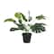 Green Plastic Traditional Artificial Foliage, 16" x 21" x 20"
